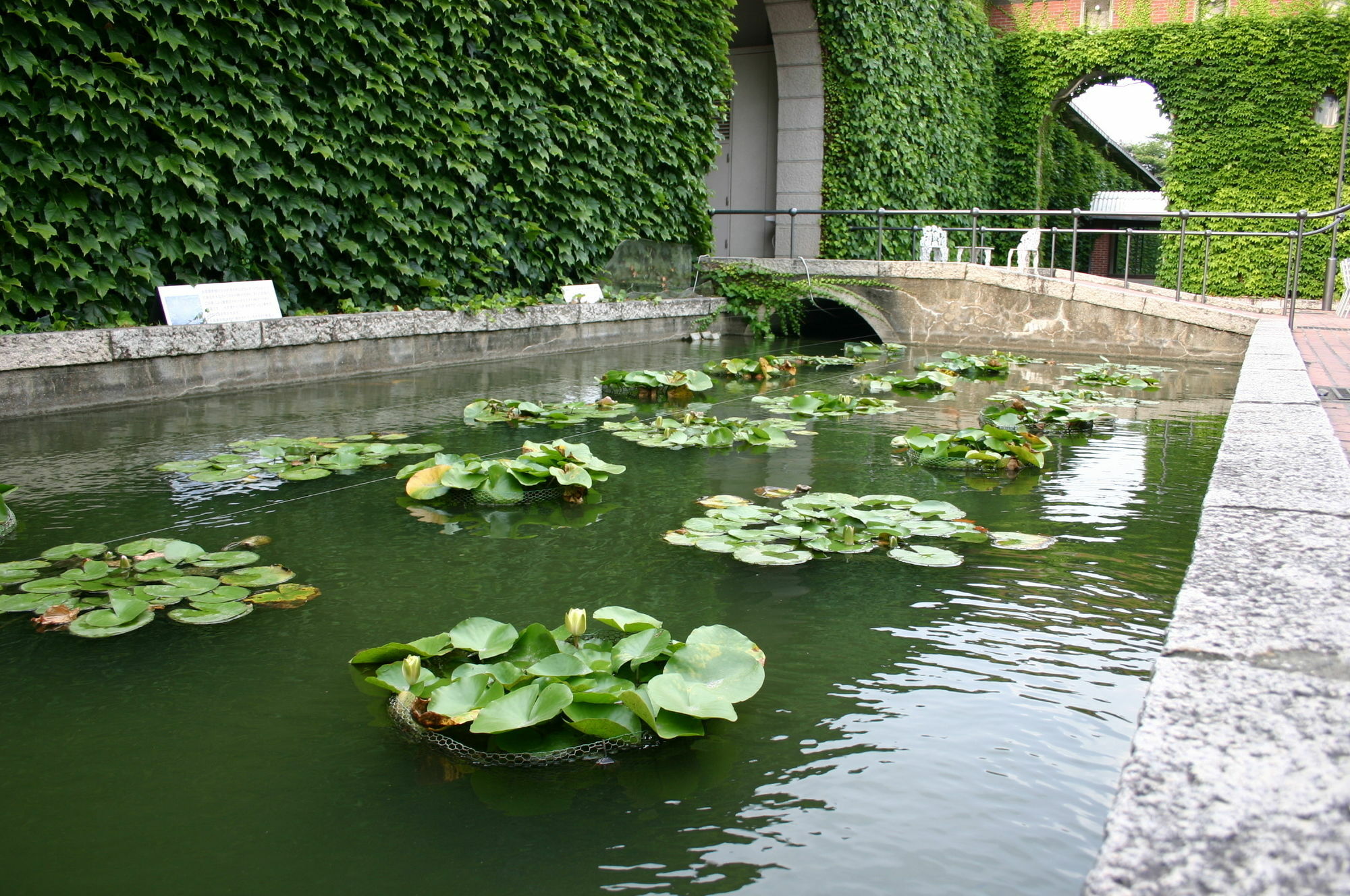 Hotel Kurashiki Ivy Square Esterno foto